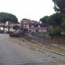 CAMPETTO POLIVALENTE M.G.CUTULI